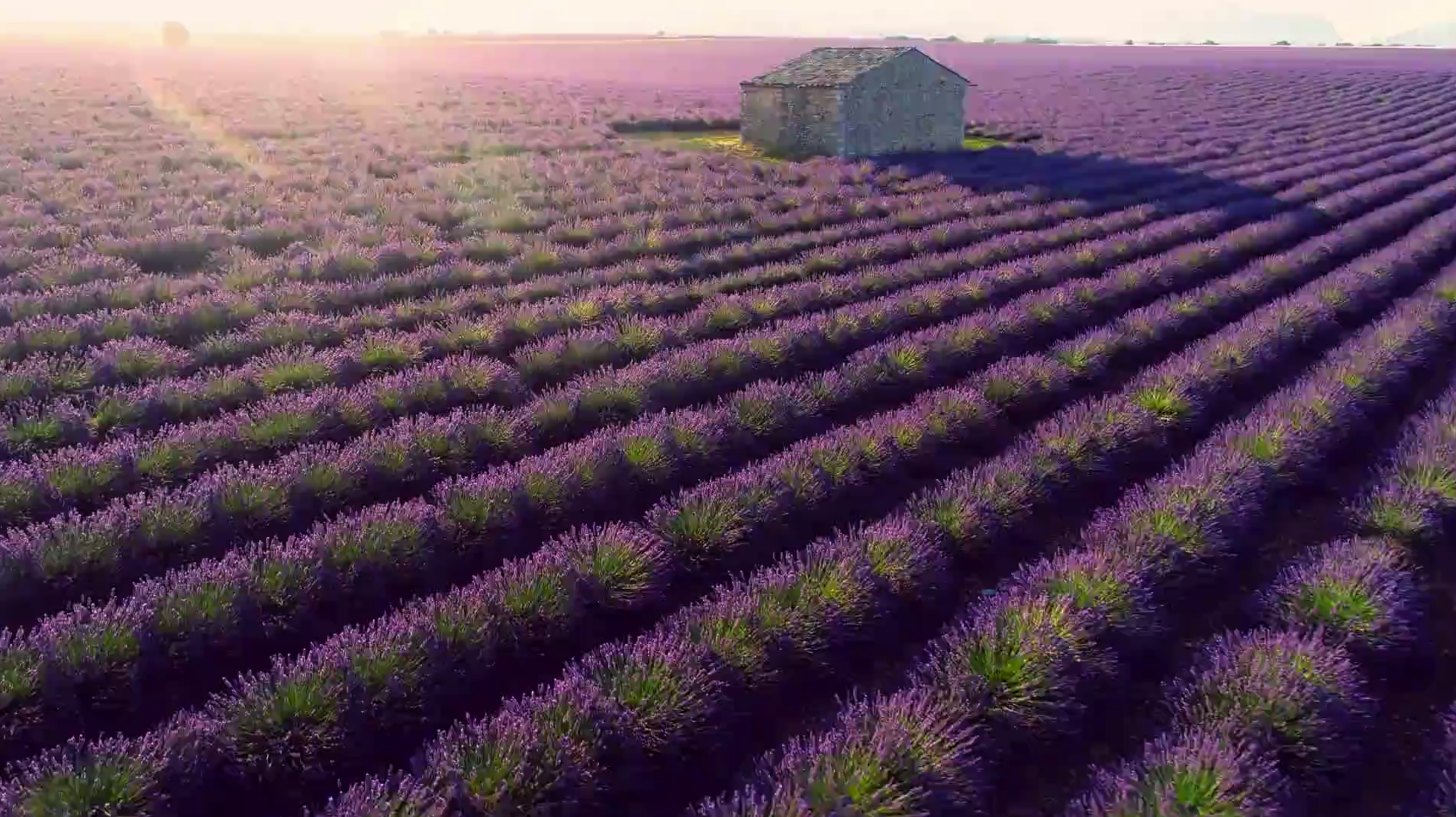 Resources for Growers